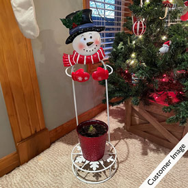 Snowman Plant Stand for Amaryllis