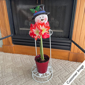 Snowman Plant Stand for Amaryllis