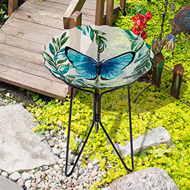 Butterfly Glass Birdbath and Stand
