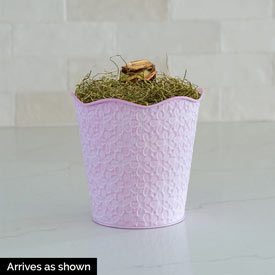 Gervase Amaryllis Single in Soft Pink Pot