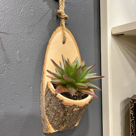 Hollow Log Hanging Planters