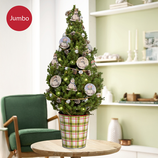Jumbo Frosty's Friends Potted Spruce Tree - Predecorated