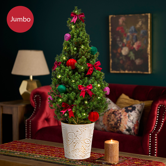 Jumbo Holiday Gems Potted Spruce Tree - Predecorated