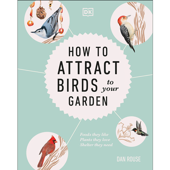 How to Attract Birds to Your Garden