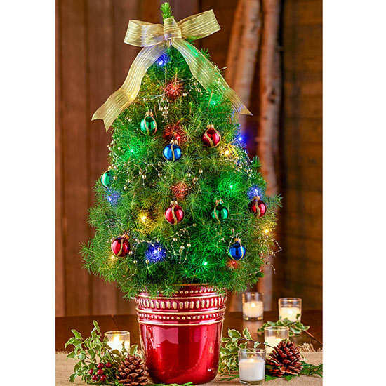 Classically Christmas Decorated Spruce Tree