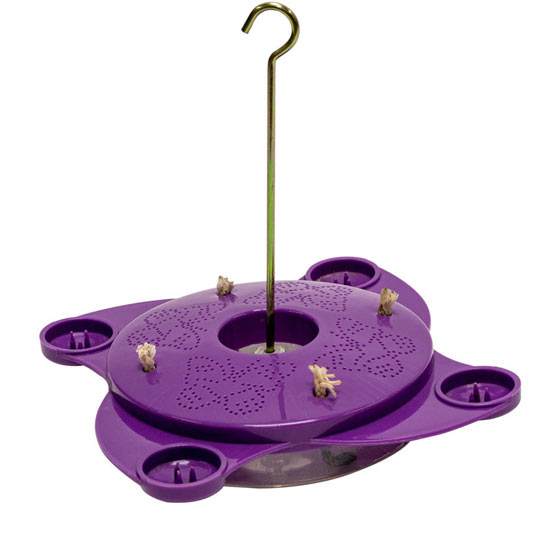 Purple Butterfly Feeder and Nectar