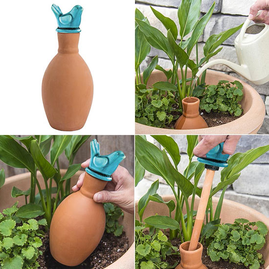 Olla Watering System