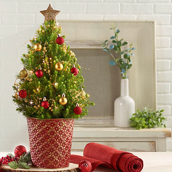 Red and Gold Decorated Spruce Tree – Holiday | Breck's Gifts