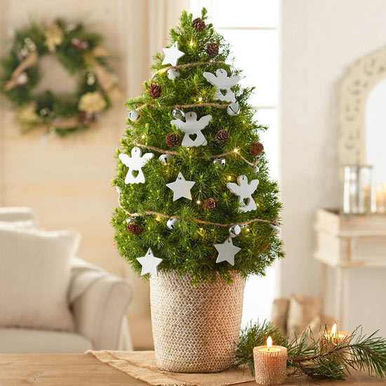 Nature's Noel Decorated Spruce Tree | Brecks Gifts