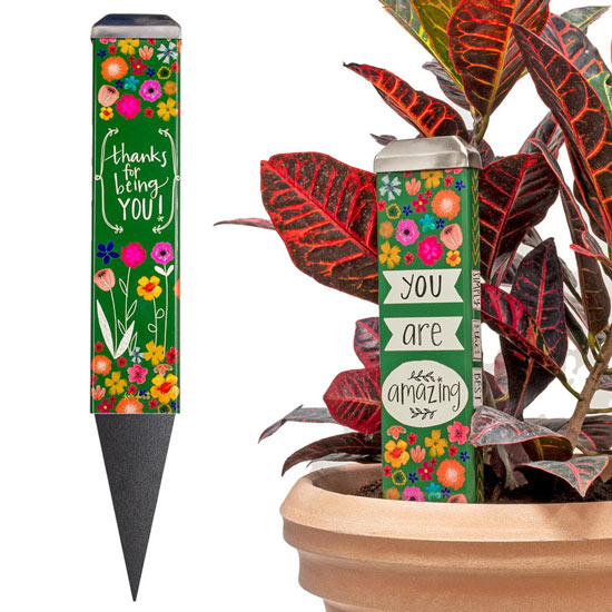 <q>You Are Amazing</q> Garden Art Stake
