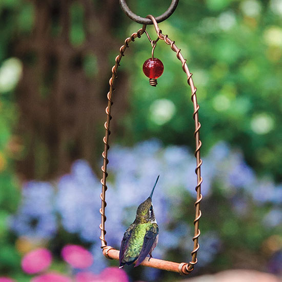 Hummingbird Perch
