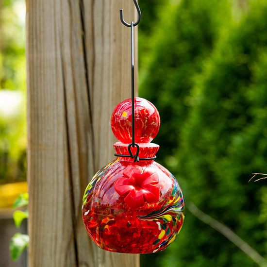 Solar Glass Hummingbird Feeder