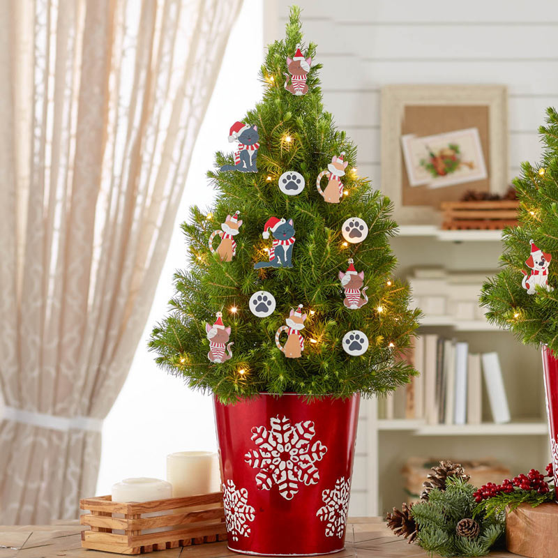 Clever Cats Potted Spruce Tree | Shop Breck's Gifts