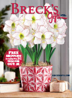 Catalog request