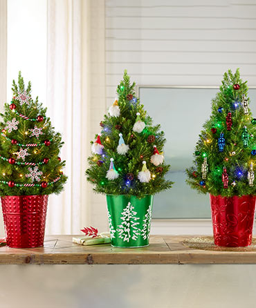 Decorated Trees