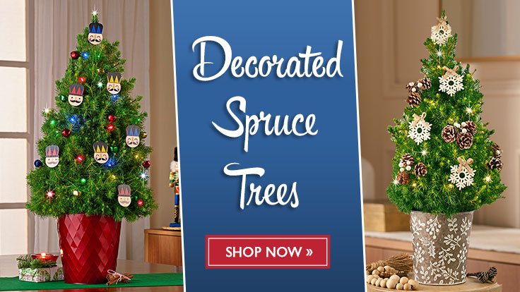 Decorated Trees