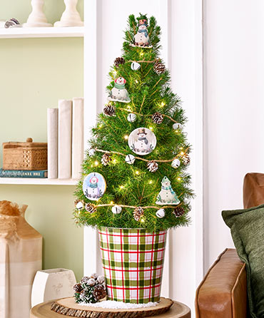 Decorated Trees 