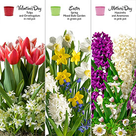 Garden Clubs