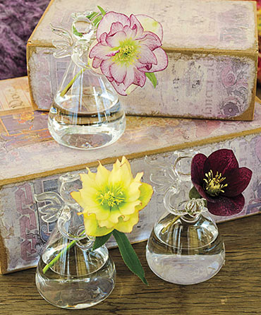 Gifts 