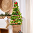 Gifts Under $100
