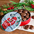 Gifts Under $30