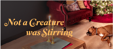 Not A Creature Was Stirring