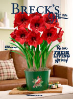 Catalog request