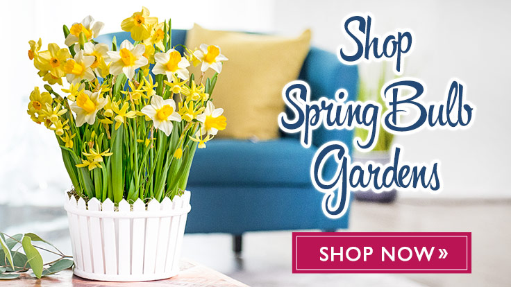 Spring Bulb Gardens