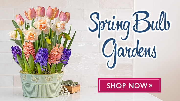 Bulb Gardens