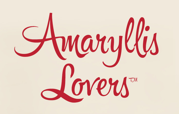 Amaryllis Lovers