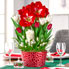 Gifts Under $75