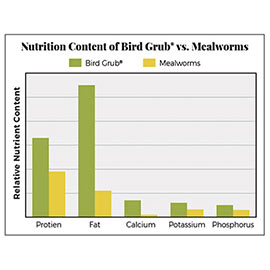 Bird Grub<sup>®</sup> Bird Food