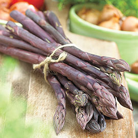 Purple Passion Asparagus