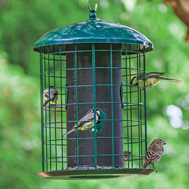 Squirrel-Proof Caged Feeder