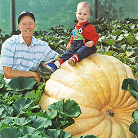 Dill's Atlantic Giant Pumpkin