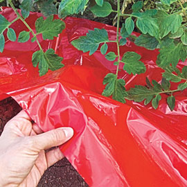 Turbo-Tomato! Tomato Weed Barrier & Mulch