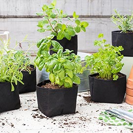Grow Tub<sup>®</sup> Herb/Transplant Containers