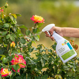 Rose & Ornamental Disease Control Plant Spray
