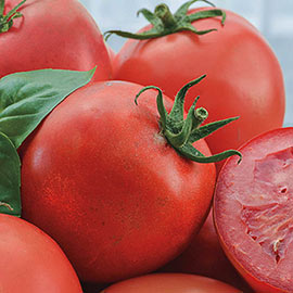 Easy Slice™ Hybrid Tomato