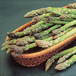 Mary Washington Improved Asparagus