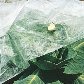 Super-Lite Plant Insect Barrier