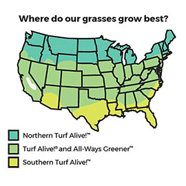Southern Turf Alive!<sup>™</sup> Grass Seed Mixture