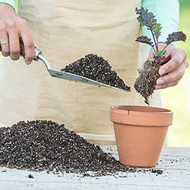 Perfect Start<sup>™</sup> Natural Potting Soil