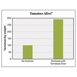 bar graph comparing the weight of tomatoes that use no fertilizer and those who use tomatoes alive fertilizer