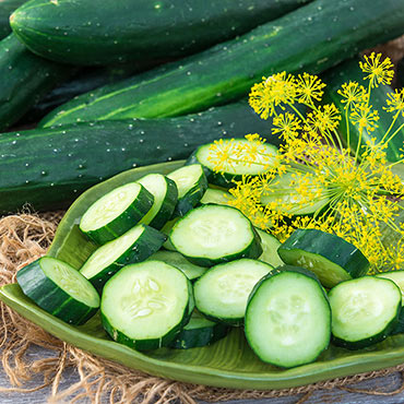 Tasty Green Hybrid Slicing Cucumber 