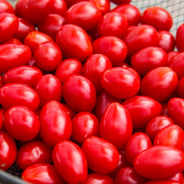 Jelly Beans Hybrid Tomato