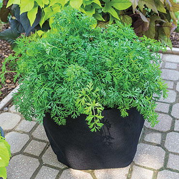 Grow Tubs<sup>®</sup> - Fabric Garden Containers