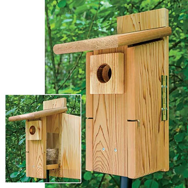 Ultimate Bluebird Nest Box
