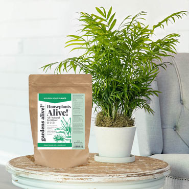 Houseplants Alive!<sup>®</sup> Houseplant Fertilizer