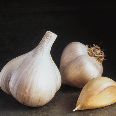 Walla Walla Early Softneck Garlic